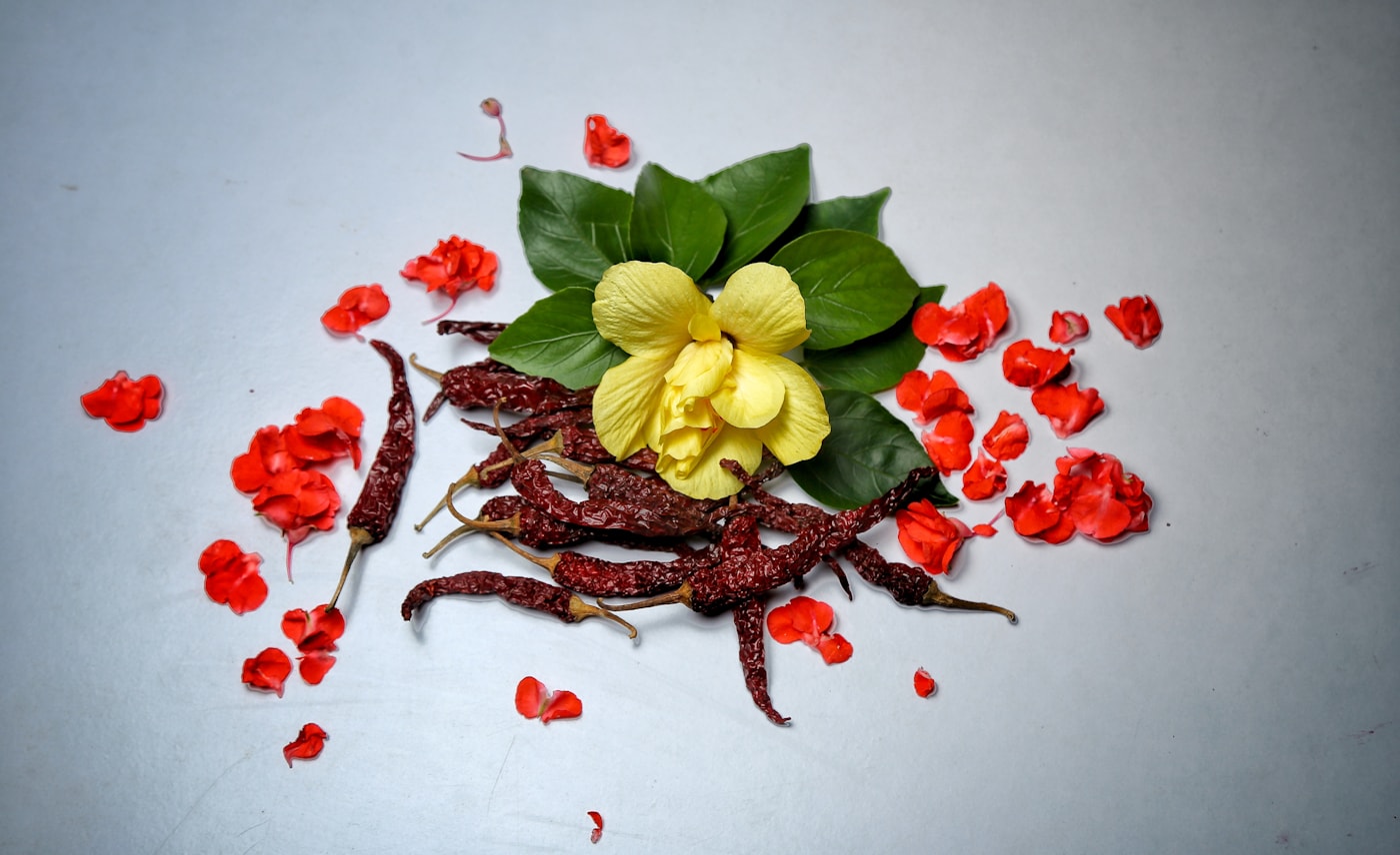 Kashmiri spices and dried chillies