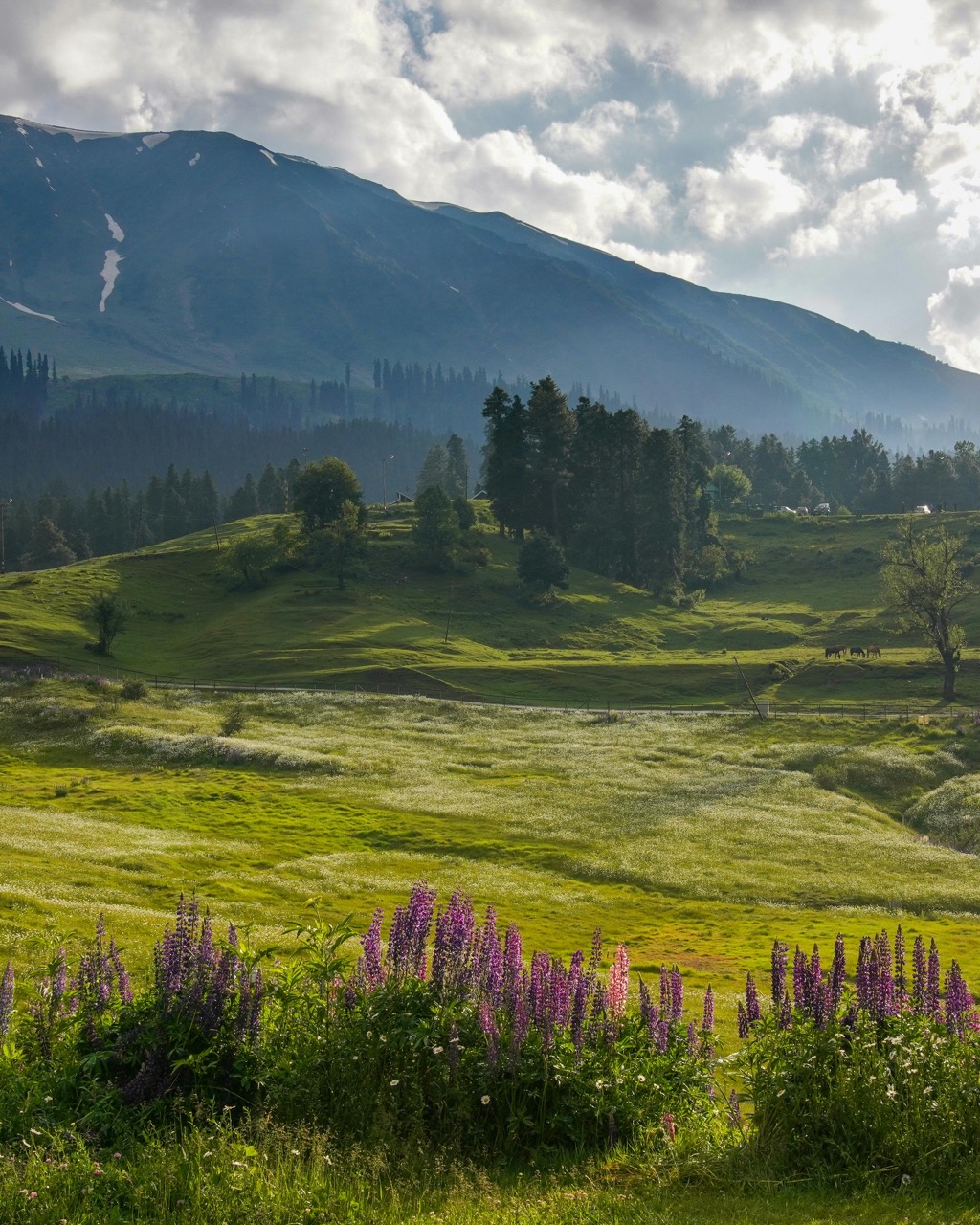 The Slow Kashmir Retreat